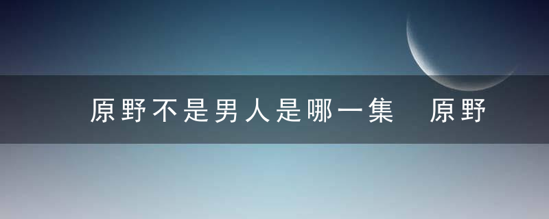 原野不是男人是哪一集 原野不是男人电视剧